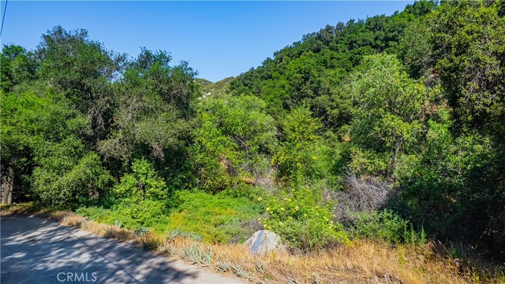 MLS #SW25133370 image #1