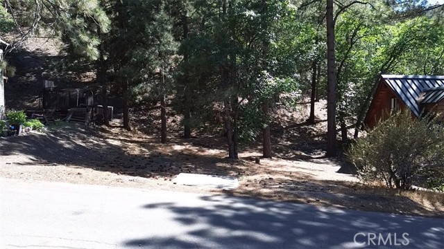 0 Heath Creek Drive, Wrightwood CA: https://media.crmls.org/medias/76d10a8f-8890-4933-92d8-d98b097e2ba1.jpg
