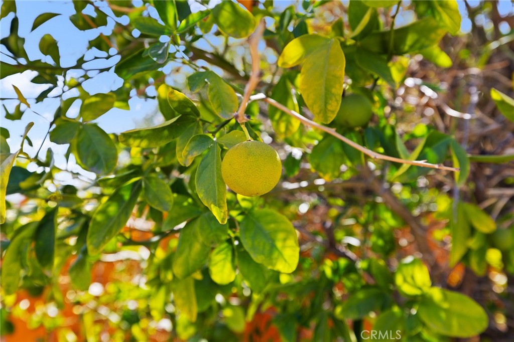 https://media.crmls.org/medias/76d17c9e-2422-4156-bb5f-bd8d3ede6eb8.jpg?preset=X-Large