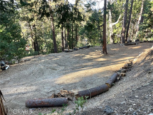 Detail Gallery Image 12 of 31 For 0 Fernland Dr, Idyllwild,  CA 92549 - – Beds | – Baths