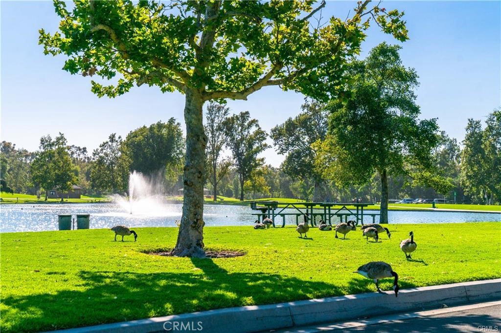 https://media.crmls.org/medias/76d4e785-233b-4399-961f-df02eb984137.jpg?preset=X-Large