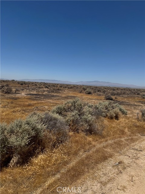 Front Image Thumbnail for CRCV26143142