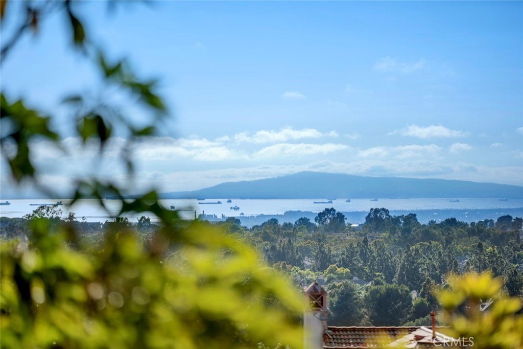 MLS #OC25237123 image #31