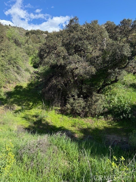 0 Greenwich Road, Glendale CA: https://media.crmls.org/medias/76d7d901-491e-4175-a7e2-3275ead8e021.jpg