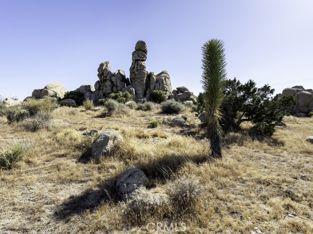 Detail Gallery Image 55 of 63 For 5564 Old Woman Springs Rd, Yucca Valley,  CA 92284 - 2 Beds | 1 Baths