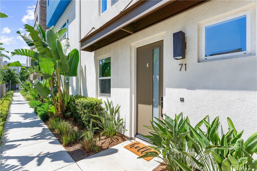 76da96f0 F299 41b4 Bb15 872fa8a28a6e