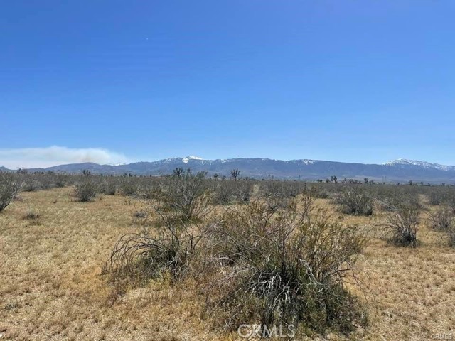 0 -Dos Palmas Rd., Pinon Hills, California 92372, ,Land,For Sale,0 -Dos Palmas Rd.,CREV23199555