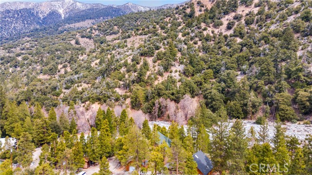 Detail Gallery Image 29 of 33 For 41524 Alder Dr, Forest Falls,  CA 92339 - 2 Beds | 2 Baths