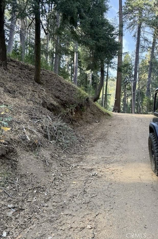 0 Burnt Mill Canyon Road, Cedarpines Park CA: https://media.crmls.org/medias/76e50254-1c9d-4bd9-ad54-86e7e0a896bf.jpg