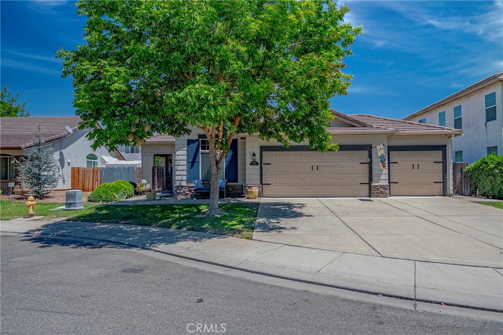 4142 Canopy Court