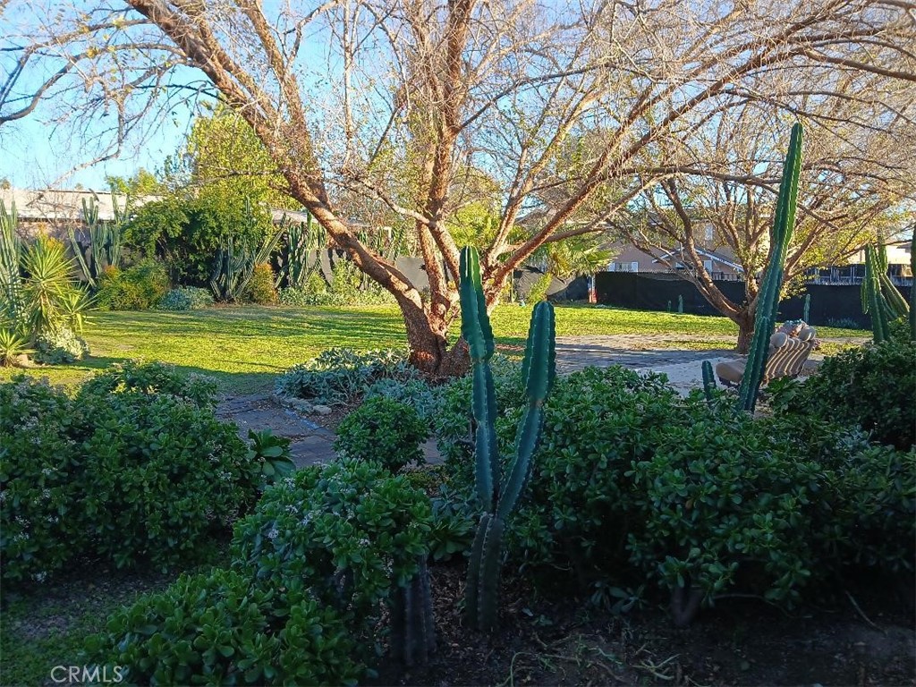 https://media.crmls.org/medias/76ee87ad-541b-4225-b761-d8e28f1453da.jpg?preset=X-Large
