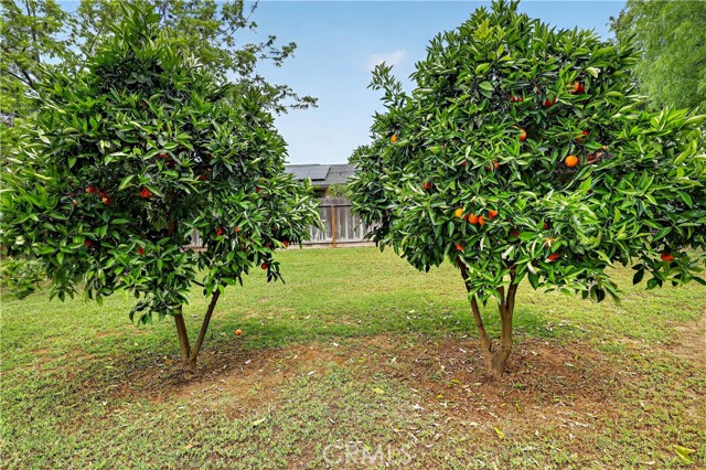 Detail Gallery Image 48 of 70 For 3276 E Olive Ave, Merced,  CA 95340 - 3 Beds | 3 Baths