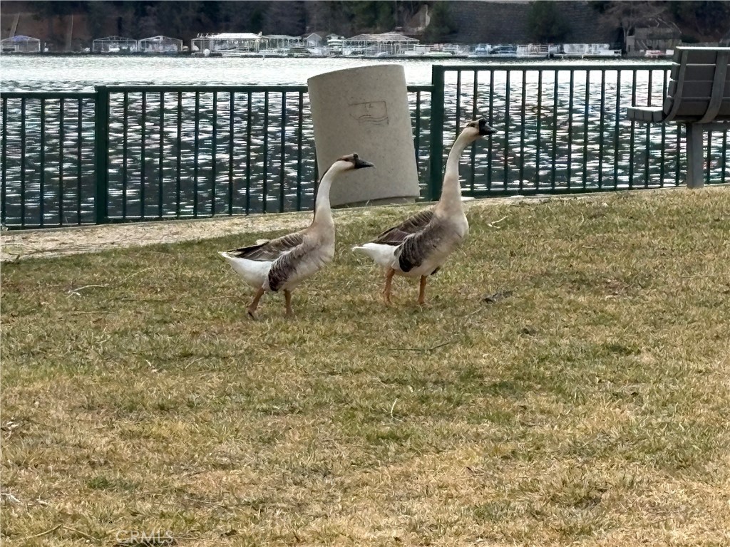 https://media.crmls.org/medias/76f3ee5e-e83c-4cba-973d-294b9b74337f.jpg?preset=X-Large