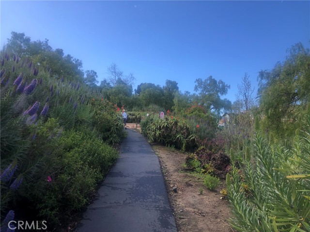 Hiking trails at Moulton Meadows Park