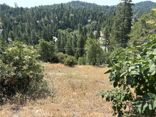 Detail Gallery Image 5 of 8 For 26805 Inyo Ct, Lake Arrowhead,  CA 92352 - – Beds | – Baths