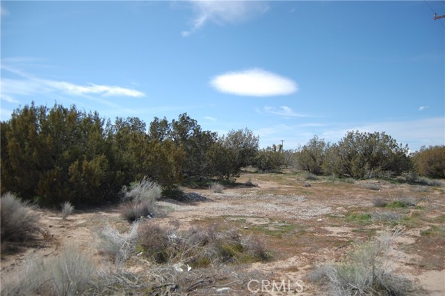 17111 Ranchero, Hesperia CA: https://media.crmls.org/medias/770c166e-7b50-49aa-9112-a3c033f011c1.jpg