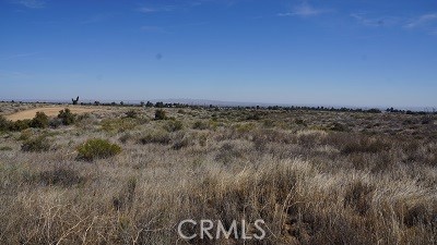 Detail Gallery Image 4 of 9 For 4 Wilson Ranch Rd, Phelan,  CA 92371 - – Beds | – Baths