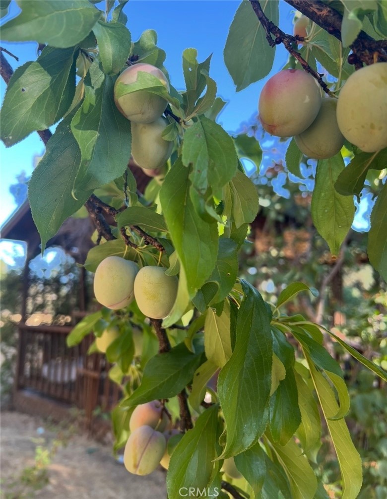https://media.crmls.org/medias/771f3ac9-d096-40ec-84be-30d5ead32617.jpg?preset=X-Large