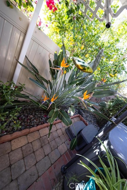 Detail Gallery Image 39 of 58 For 29831 Coral Tree Ct, Menifee,  CA 92584 - 3 Beds | 2 Baths