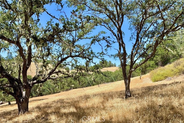 Detail Gallery Image 8 of 17 For 0 Bryson Hesperia Rd, Bradley,  CA 93426 - – Beds | – Baths