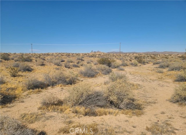 Front Image Thumbnail for CRIG25278166