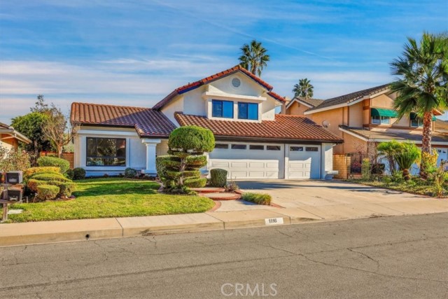 Front Image Thumbnail for CROC25277529