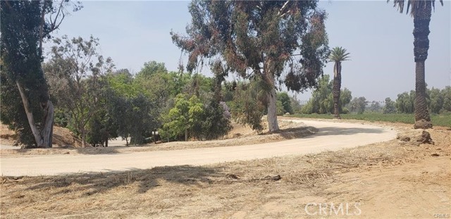 1246 Washington Street, Riverside, California 92506, ,Commercial Lease,For Rent,1246 Washington Street,CRAR24040255