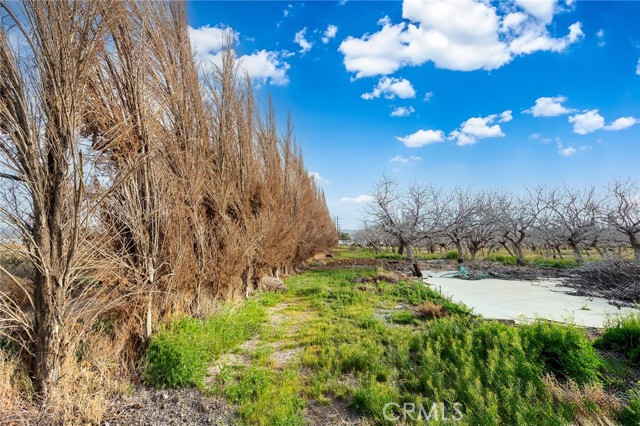 Image 54 of 73 For 31516 Clay River Road