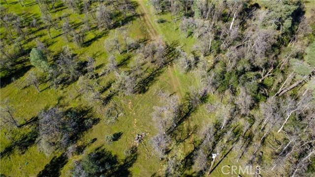 Front Image Thumbnail for CRSN26044839