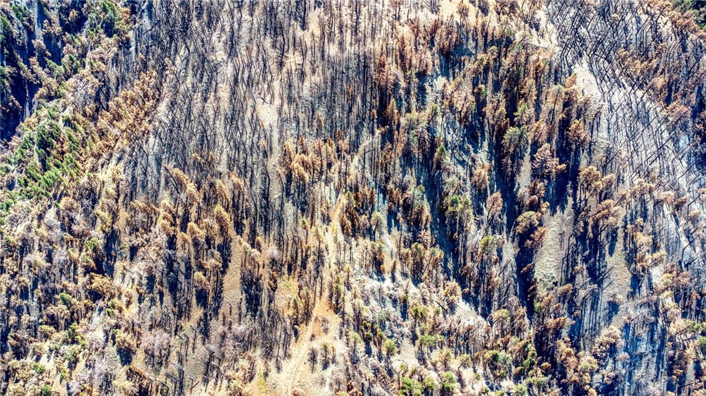 MLS #HD25219031 image #11