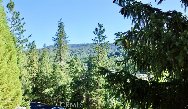 Detail Gallery Image 6 of 28 For 40547 Saddleback, Bass Lake,  CA 93604 - 3 Beds | 2/1 Baths