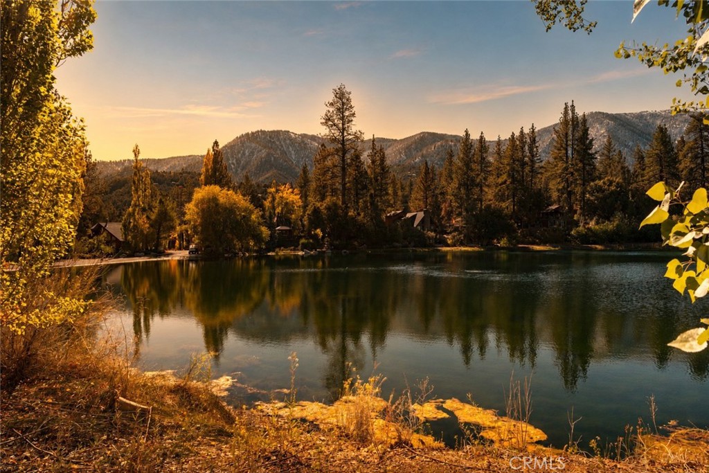 https://media.crmls.org/medias/774b1e25-62bd-4d73-8dde-79bbf76f065a.jpg?preset=X-Large