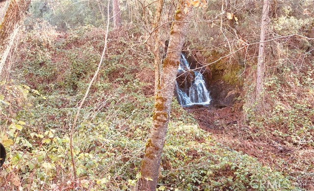 Seasonal Waterfall