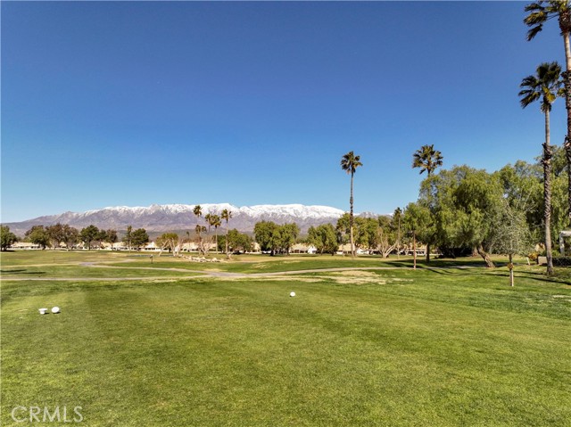 Detail Gallery Image 10 of 43 For 781 Torrey Pines Rd, Banning,  CA 92220 - 2 Beds | 2 Baths