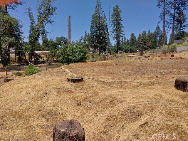 1667 Wagstaff Road, Paradise CA: https://media.crmls.org/medias/7760c3dc-a980-4906-8f39-befd0583dec5.jpg
