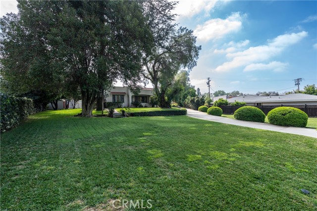 Image 32 of 41 For 188 Sunkist  