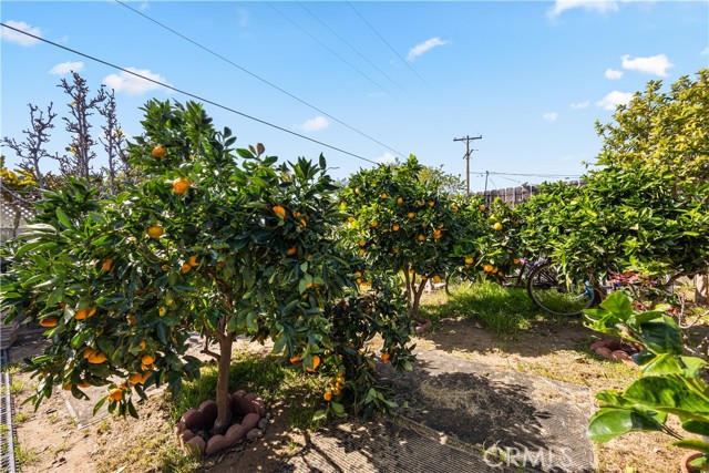 Detail Gallery Image 7 of 16 For 4901 Siesta Dr, Oceanside,  CA 92057 - 3 Beds | 2 Baths