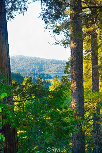 28372 Altamont Court, Lake Arrowhead CA: https://media.crmls.org/medias/776828f3-6963-4eab-bfec-0fec0724c22f.jpg