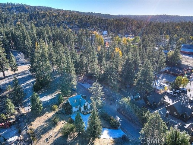 Detail Gallery Image 45 of 47 For 527 Cottage Ln, Big Bear Lake,  CA 92315 - 2 Beds | 1 Baths