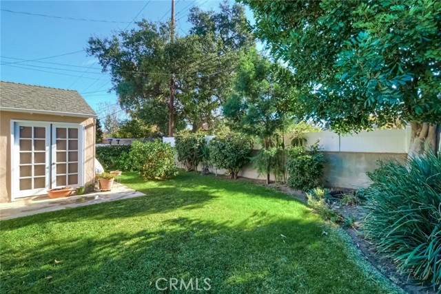 back yard looking east