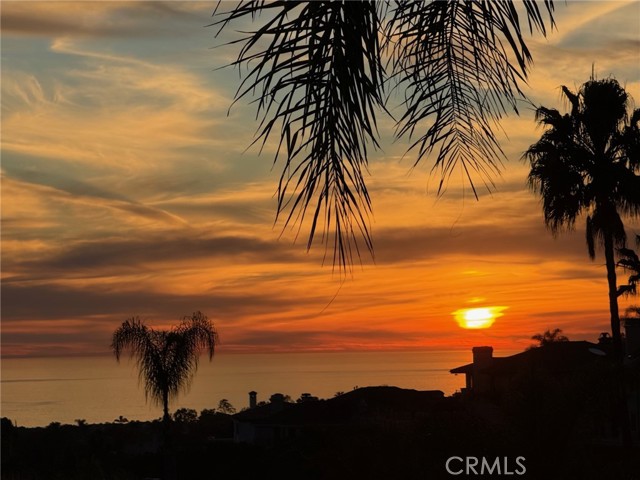 Detail Gallery Image 65 of 75 For 14 Newcastle, Laguna Niguel,  CA 92677 - 4 Beds | 4/1 Baths