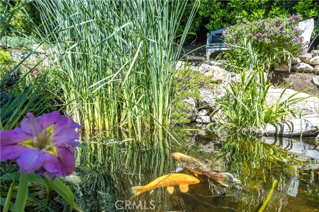 Detail Gallery Image 49 of 49 For 25650 Timpangos Dr, Calabasas,  CA 91302 - 5 Beds | 4/1 Baths