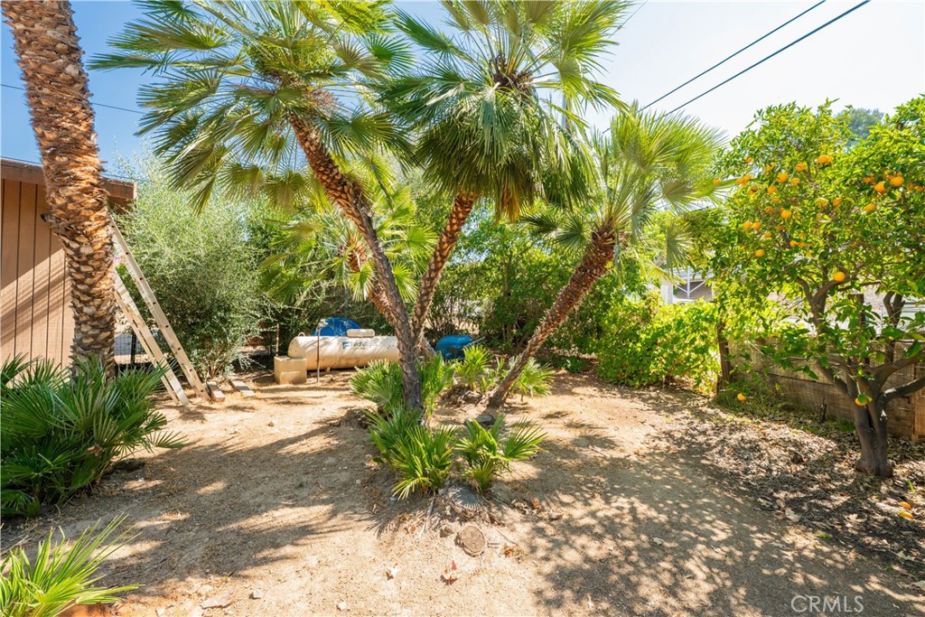 MLS #SW25171280 img 33