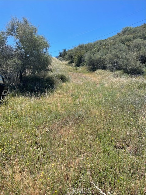 Front Image Thumbnail for CRIG26085006