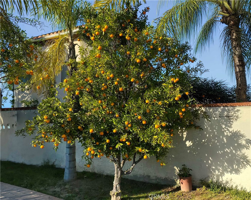 https://media.crmls.org/medias/777c650f-96e9-42cd-aad9-b7baaebcce7e.jpg?preset=X-Large