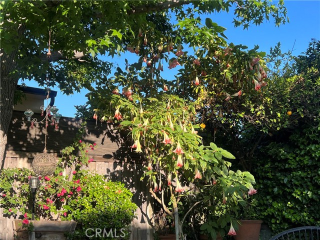 12744 Sarah Street, Studio City CA: https://media.crmls.org/medias/778374d6-60dc-45b4-996f-c426577a930d.jpg