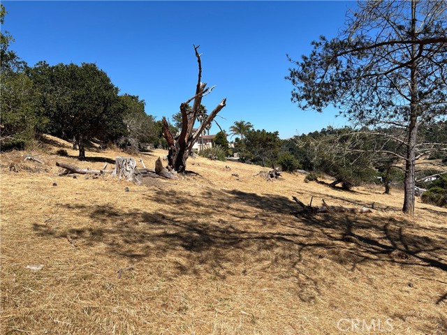 4925 Grove Street, Cambria, California 93428, ,Land,For Sale,4925 Grove Street,CRSC23001880