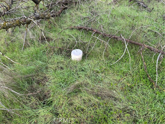 Detail Gallery Image 12 of 18 For 3224 Silver Bush Pl, Catheys Valley,  CA 95306 - – Beds | – Baths