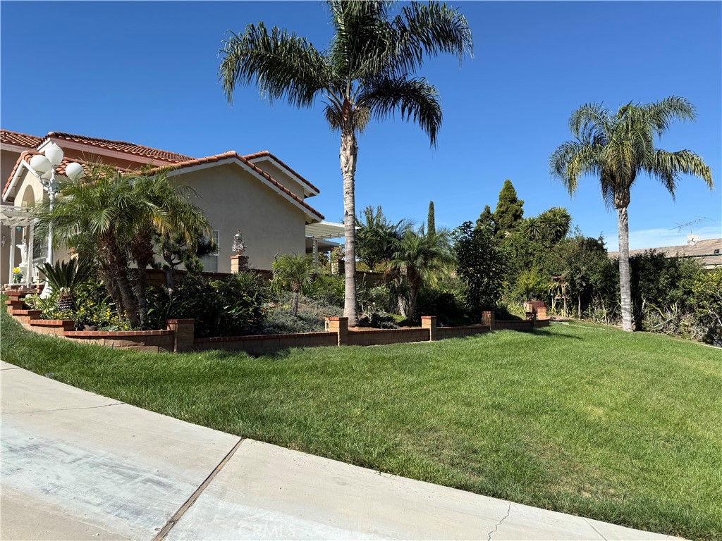 MLS #CV25244342 image #6