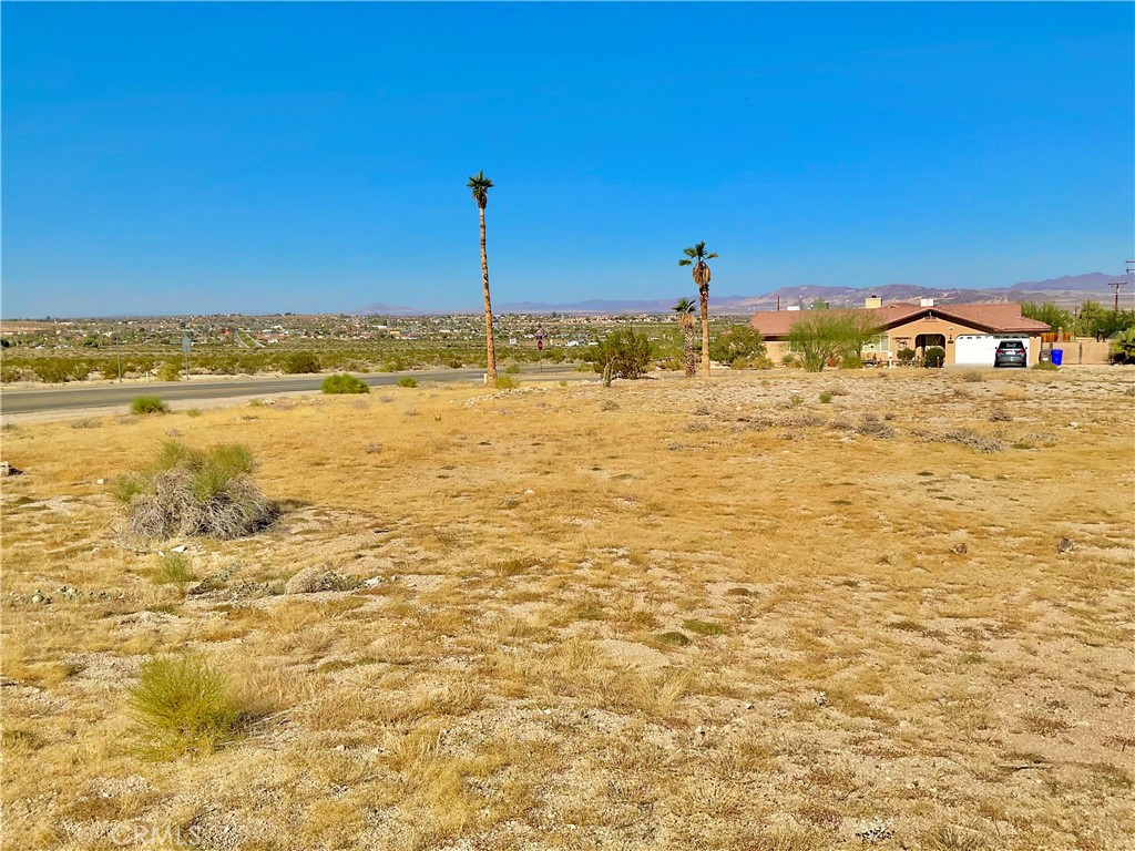 MLS #JT25259436 image #1